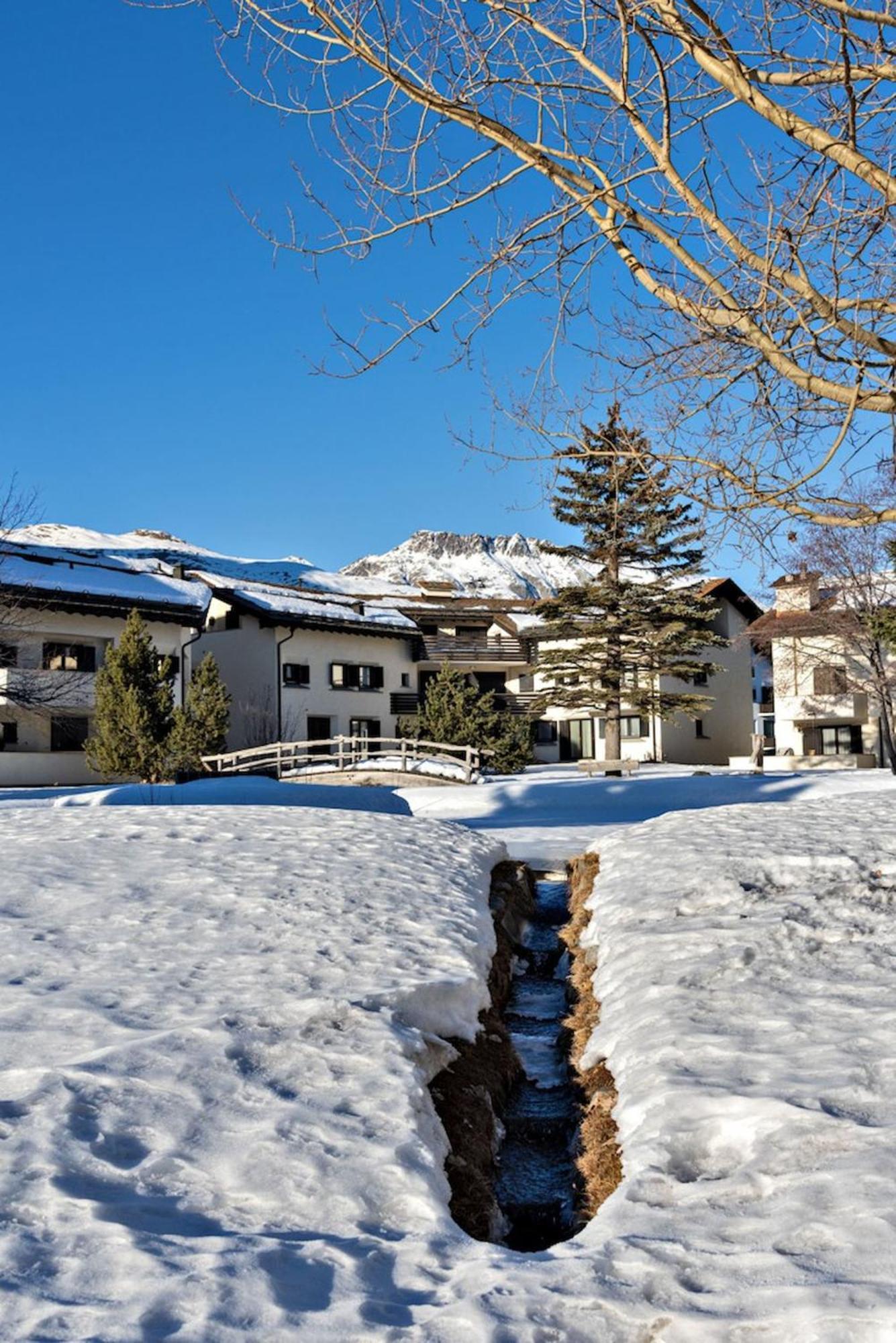 Chesa Chavriol - Celerina Apartment Celerina/Schlarigna Bagian luar foto
